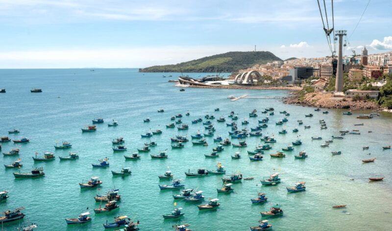 Khám Phá Các Vườn Trái Cây Ở Bến Tre: Thiên Đường Miệt Vườn Miền Tây