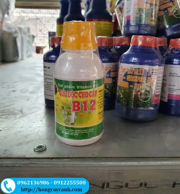 Vitamin B12 Giải Độc Cho Cây