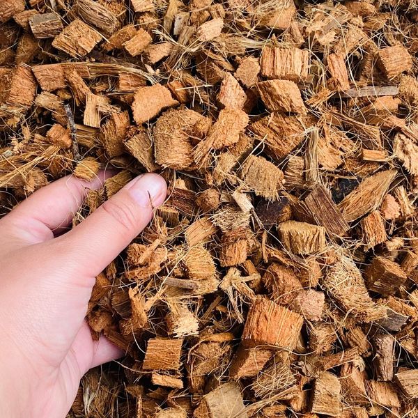 Giá Thể Xơ Dừa Đã Xử Lý: Giải Pháp Tối Ưu Cho Cây Trồng Hiện Đại