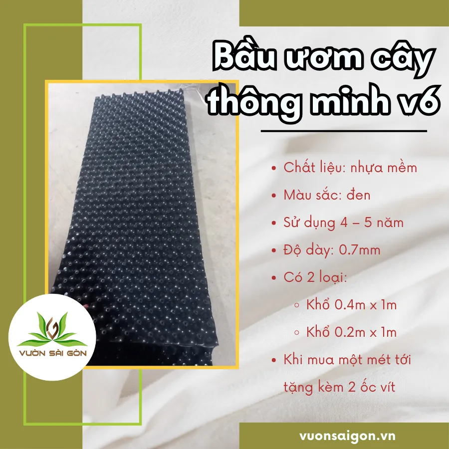 Cận cảnh cấu trúc bề mặt và các lỗ thoát khí trên bầu ươm cây thông minh