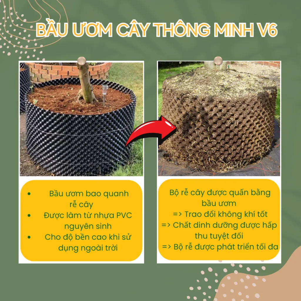 Hướng dẫn cách ghép nối các tấm cuộn thành bầu ươm cây hoàn chỉnh