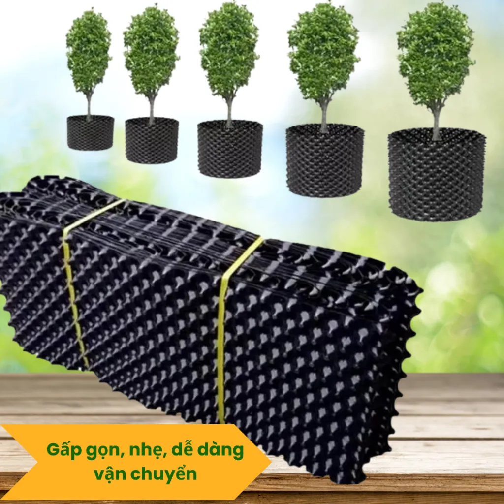 Kho hàng bầu ươm sẵn sàng phục vụ nhu cầu gardening năm 2026