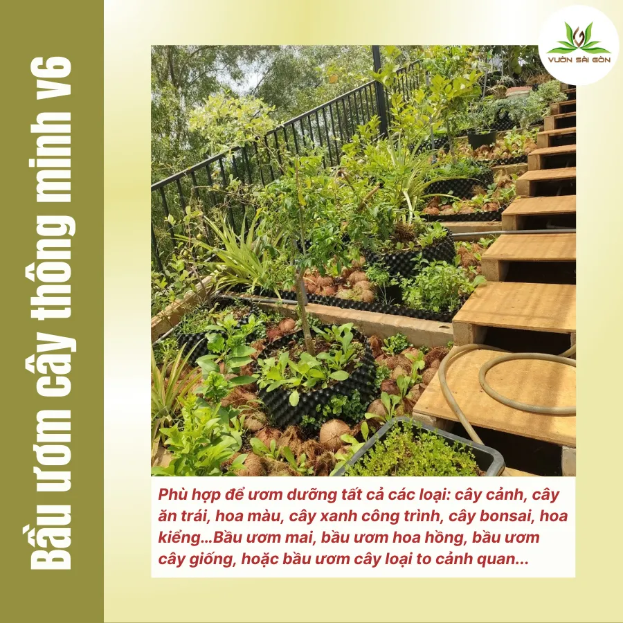 Bầu ươm cây thông minh hỗ trợ phát triển bộ rễ vượt trội trong làm vườn hiện đại