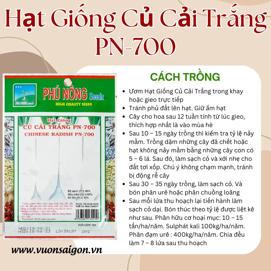 Quy trình gieo hạt củ cải trắng đúng kỹ thuật