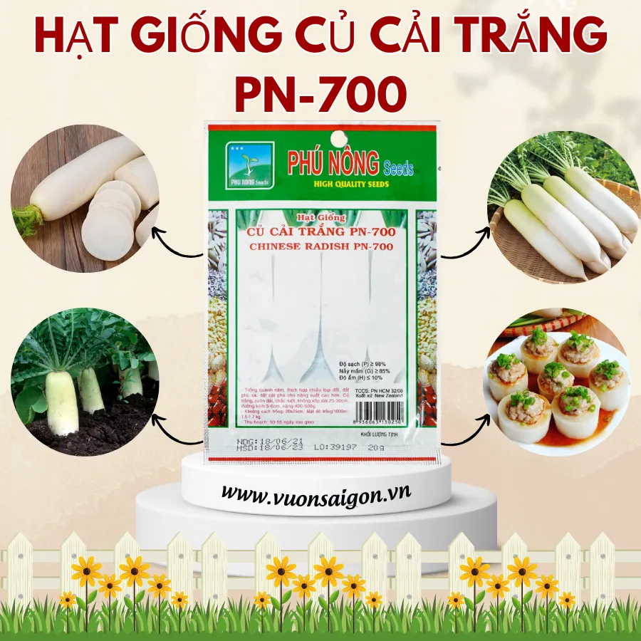 Củ cải trắng phát triển khỏe mạnh