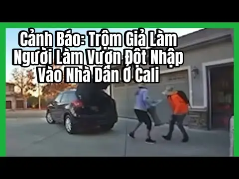 Biến Chai Nhựa Cũ Thành Chậu Trồng Rau Xanh Mát: Hướng Dẫn Chi Tiết Từ A-Z
