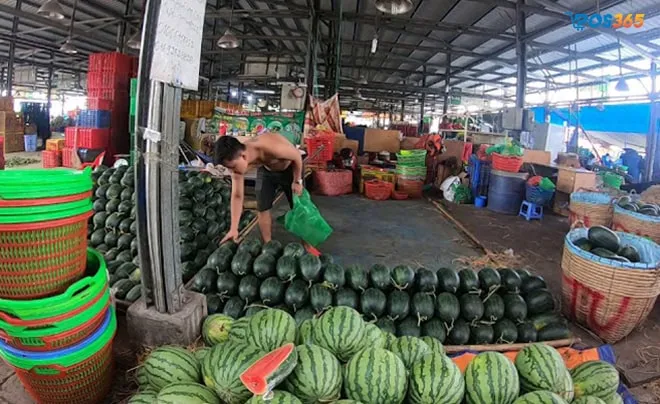 Vựa Trái Cây Cần Thơ chuyên cung cấp nguồn hàng sỉ tươi ngon