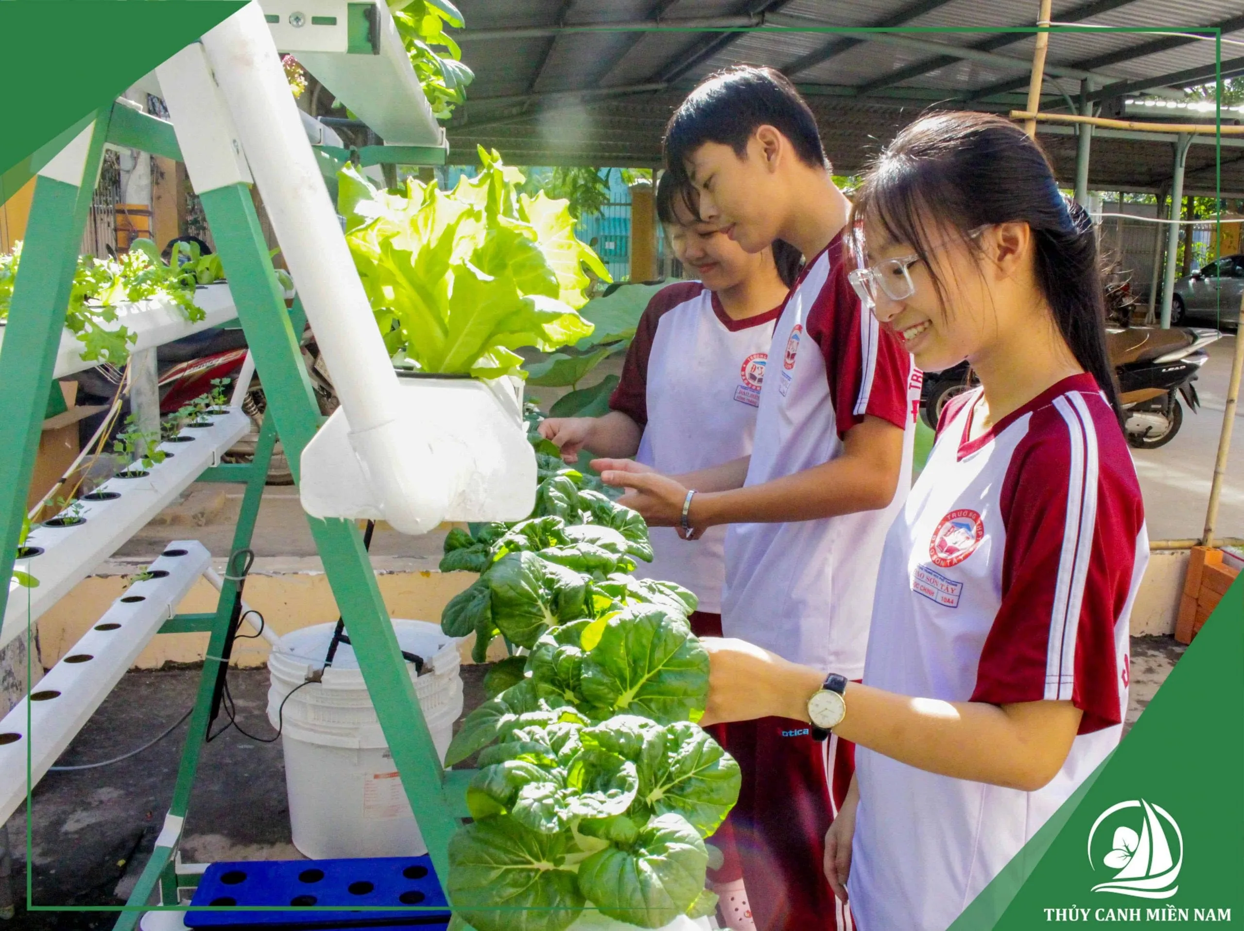 Học sinh học tập tại vườn rau thủy canh thực nghiệm chuyên nghiệp