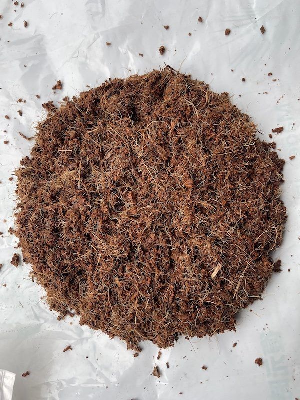 Giá Thể Xơ Dừa Đã Xử Lý: Giải Pháp Tối Ưu Cho Cây Trồng Hiện Đại