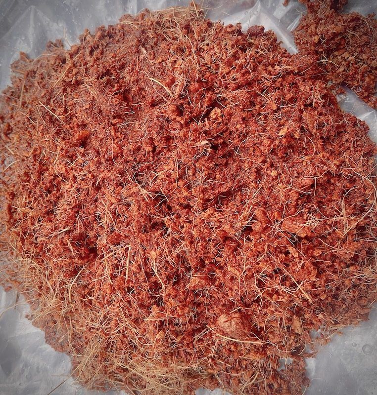 Giá Thể Xơ Dừa Đã Xử Lý: Giải Pháp Tối Ưu Cho Cây Trồng Hiện Đại