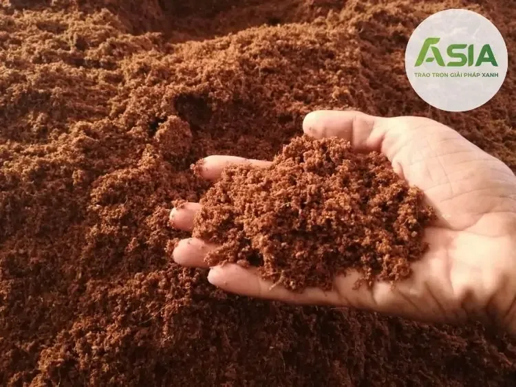 Giá thể trồng cà chua - Xơ dừa