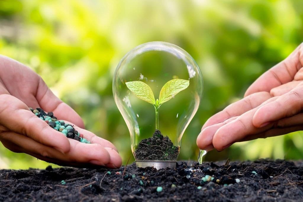 Các Yếu Tố Ảnh Hưởng Đến Chất Lượng Phân Bón Hữu Cơ Khi Bảo Quản