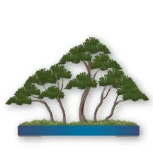 Bonsai thế rừng cây (Yose-ue)