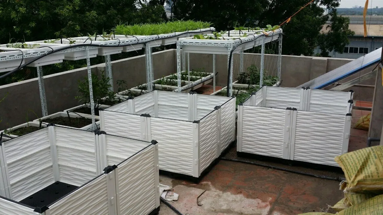 Cấu tạo chi tiết các bộ phận của chậu ghép thông minh Quang Anh bao gồm vách ngăn và vỉ thoát nước